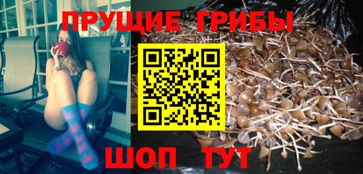 Гусь-Хрустальный  Галлюциногенные грибы Psilocybe  Вход с VPN  Галлюциногенные грибы ЛСД 