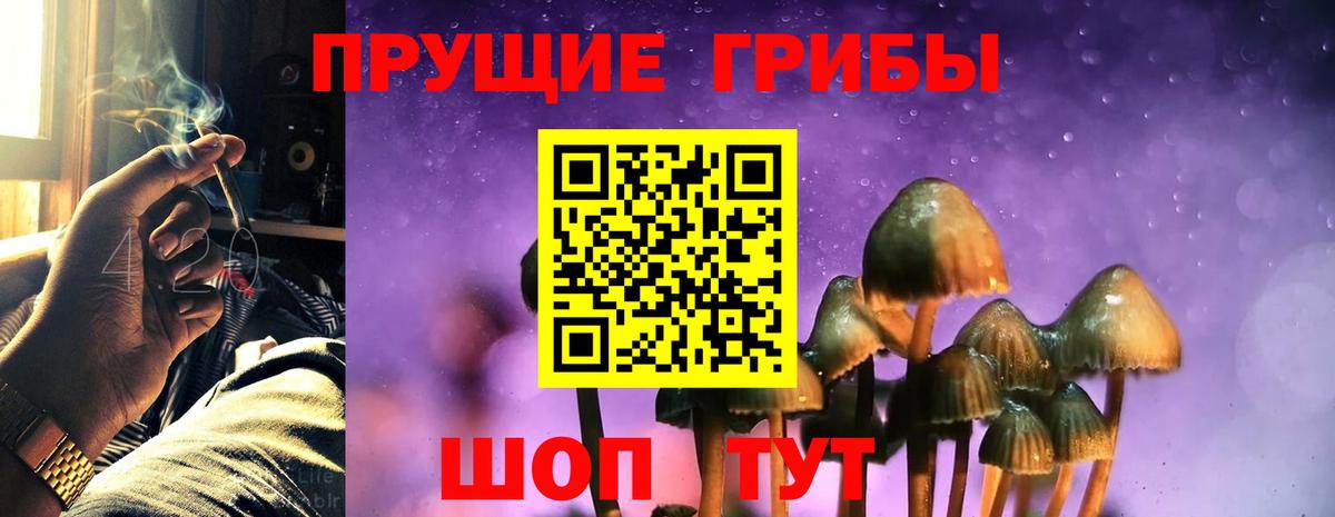 Псилоцибиновые грибы GOLDEN TEACHER Гусь-Хрустальный